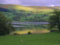 Tal-Y-Llyn Valley and Pass, Snowdonia National Park, Gwynedd, Wales, United Kingdom-Duncan Maxwell-Photographic Print