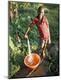 Photographic Print