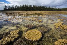 Coral formations at low tide in Prony Bay, New Caledonia-Duncan Murrell-Photographic Print