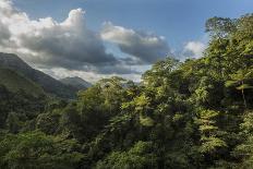 Rainforest and river outside village, Palawan, Philippines-Duncan Murrell-Photographic Print