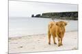 Premium Photographic Print