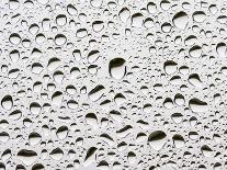 Raindrops on a Window Pane-Duncan Shaw-Photographic Print