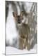 Premium Photographic Print
