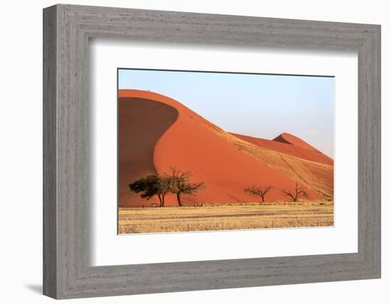 Dune 45 the Star Dune Composed of 5 Million Year Old Sand, Namib Desert, Namibia-Roberto Moiola-Framed Photographic Print