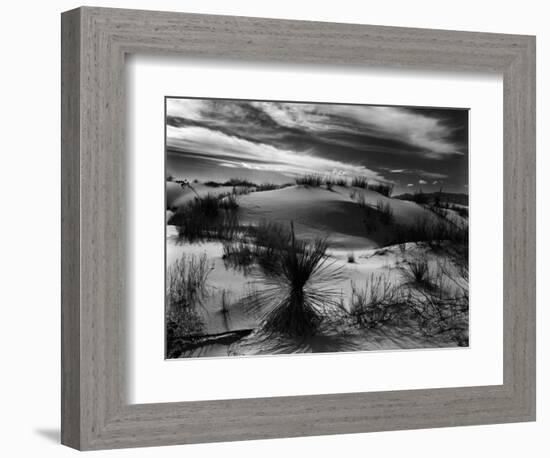 Dune and Yucca, White Sands, New Mexico, 1946-Brett Weston-Framed Photographic Print