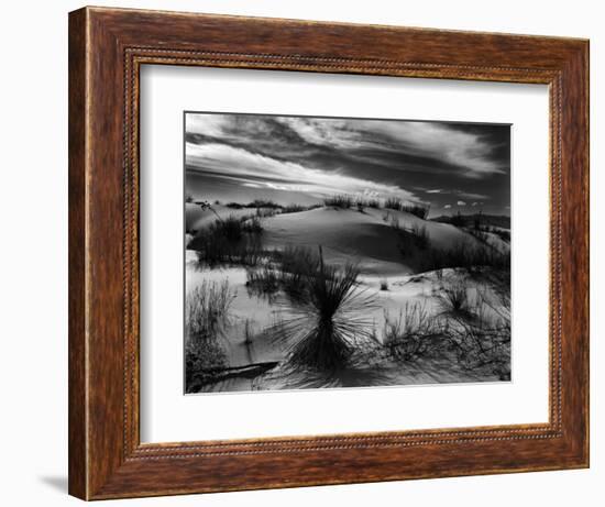 Dune and Yucca, White Sands, New Mexico, 1946-Brett Weston-Framed Photographic Print