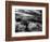 Dune and Yucca, White Sands, New Mexico, 1946-Brett Weston-Framed Photographic Print