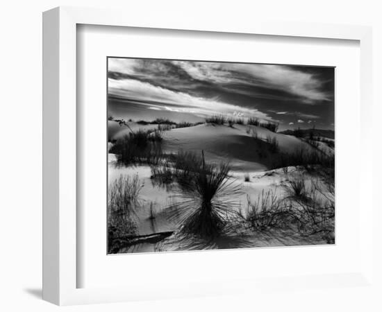 Dune and Yucca, White Sands, New Mexico, 1946-Brett Weston-Framed Photographic Print