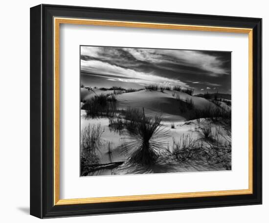 Dune and Yucca, White Sands, New Mexico, 1946-Brett Weston-Framed Photographic Print