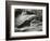 Dune, Baja California, 1968-Brett Weston-Framed Photographic Print