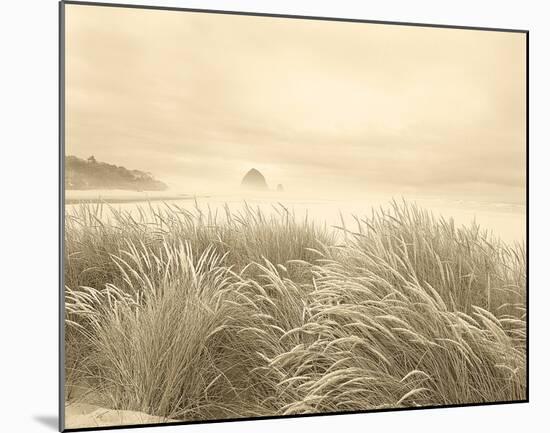 Dune Breeze-Adam Brock-Mounted Giclee Print
