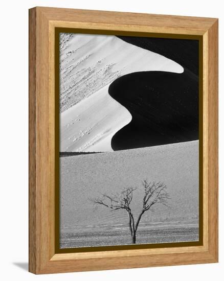 Dune Curves-Ali Khataw-Framed Premier Image Canvas