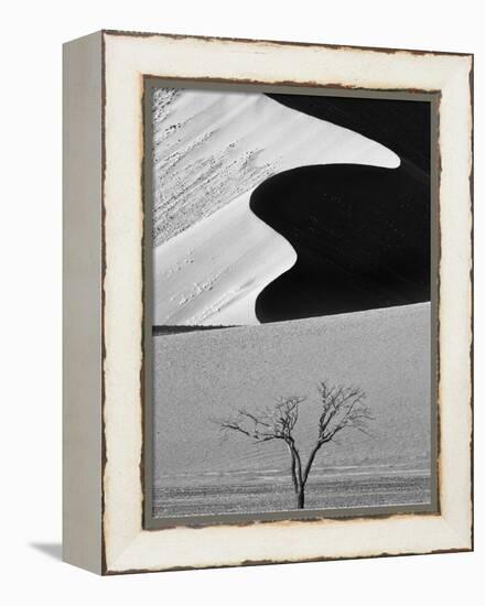 Dune Curves-Ali Khataw-Framed Premier Image Canvas