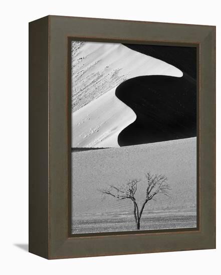 Dune Curves-Ali Khataw-Framed Premier Image Canvas