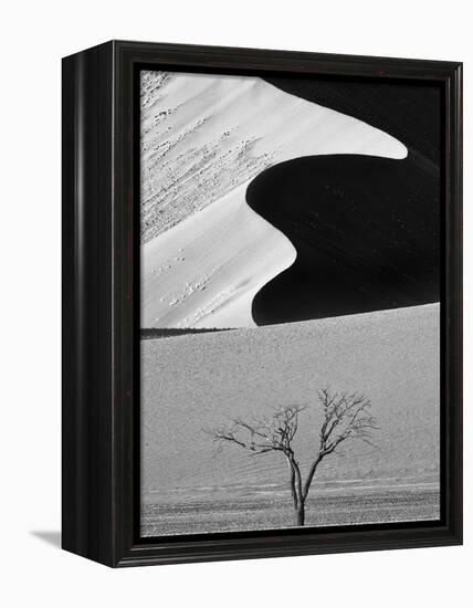 Dune Curves-Ali Khataw-Framed Premier Image Canvas