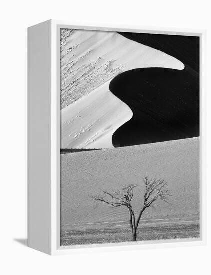 Dune Curves-Ali Khataw-Framed Premier Image Canvas