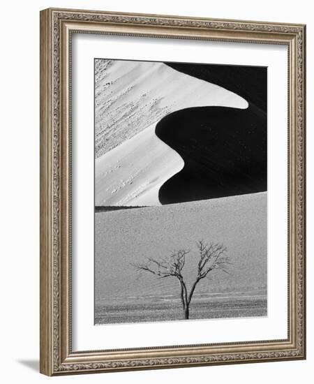 Dune Curves-Ali Khataw-Framed Photographic Print