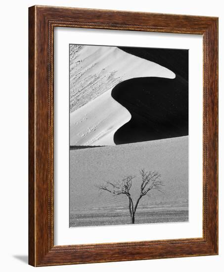 Dune Curves-Ali Khataw-Framed Photographic Print