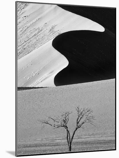 Dune Curves-Ali Khataw-Mounted Photographic Print
