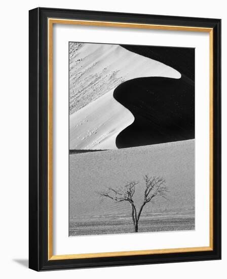 Dune Curves-Ali Khataw-Framed Photographic Print