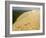 Dune Du Pilat, Gironde, Aquitaine, France, Europe-David Hughes-Framed Photographic Print