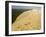 Dune Du Pilat, Gironde, Aquitaine, France, Europe-David Hughes-Framed Photographic Print