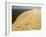 Dune Du Pilat, Gironde, Aquitaine, France, Europe-David Hughes-Framed Photographic Print