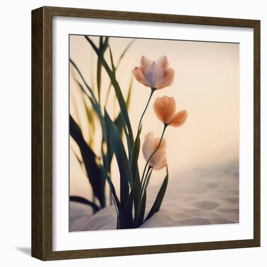 Dune Flowers No 1-Treechild-Framed Photographic Print