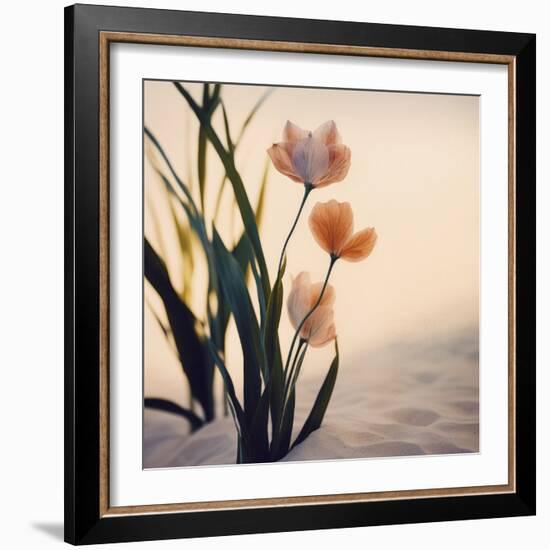 Dune Flowers No 1-Treechild-Framed Photographic Print