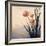 Dune Flowers No 2-Treechild-Framed Photographic Print
