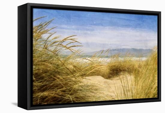 Dune Grass 4-Thea Schrack-Framed Premier Image Canvas