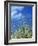 Dune Grass, Florida Keys-Lauree Feldman-Framed Photographic Print