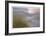 Dune Grasses and Pond-Donald Paulson-Framed Giclee Print