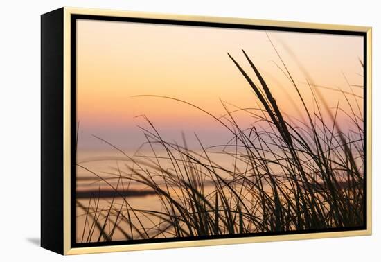 Dune Grasses at Coast Guard Beach in the Cape Cod National Seashore. Eastham, Massachusetts-Jerry and Marcy Monkman-Framed Premier Image Canvas