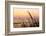 Dune Grasses at Coast Guard Beach in the Cape Cod National Seashore. Eastham, Massachusetts-Jerry and Marcy Monkman-Framed Photographic Print