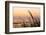 Dune Grasses at Coast Guard Beach in the Cape Cod National Seashore. Eastham, Massachusetts-Jerry and Marcy Monkman-Framed Photographic Print