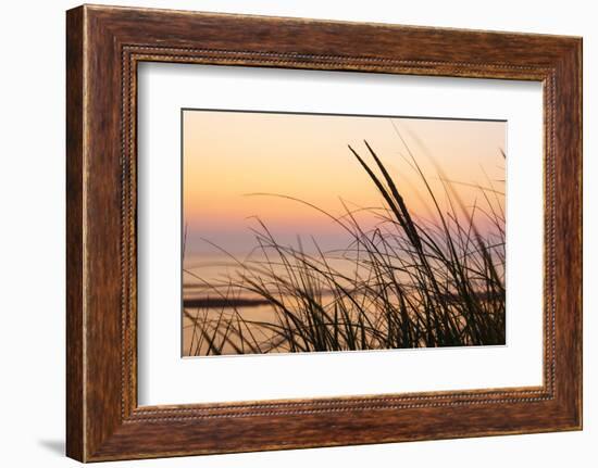 Dune Grasses at Coast Guard Beach in the Cape Cod National Seashore. Eastham, Massachusetts-Jerry and Marcy Monkman-Framed Photographic Print