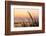 Dune Grasses at Coast Guard Beach in the Cape Cod National Seashore. Eastham, Massachusetts-Jerry and Marcy Monkman-Framed Photographic Print