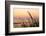 Dune Grasses at Coast Guard Beach in the Cape Cod National Seashore. Eastham, Massachusetts-Jerry and Marcy Monkman-Framed Photographic Print