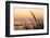 Dune Grasses at Coast Guard Beach in the Cape Cod National Seashore. Eastham, Massachusetts-Jerry and Marcy Monkman-Framed Photographic Print