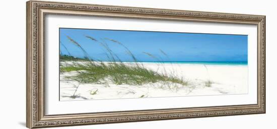 Dune Grasses-Malcolm Sanders-Framed Giclee Print