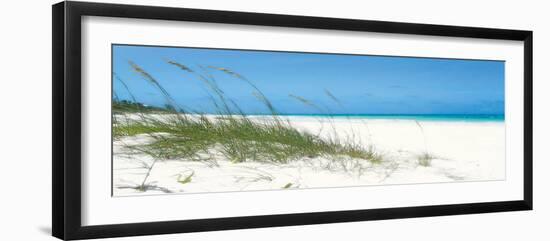 Dune Grasses-Malcolm Sanders-Framed Giclee Print