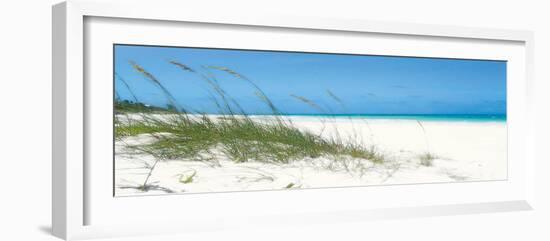 Dune Grasses-Malcolm Sanders-Framed Giclee Print