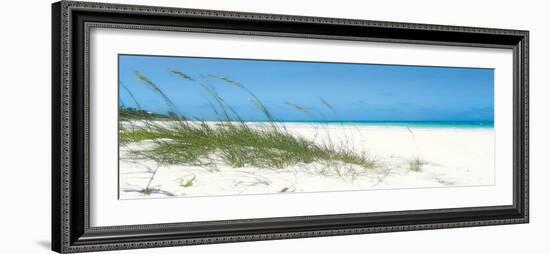 Dune Grasses-Malcolm Sanders-Framed Giclee Print