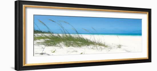 Dune Grasses-Malcolm Sanders-Framed Giclee Print