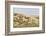 Dune Landscape, Detail, Germany, Lower Saxony, Ostfryingland-Roland T.-Framed Photographic Print