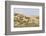 Dune Landscape, Detail, Germany, Lower Saxony, Ostfryingland-Roland T.-Framed Photographic Print