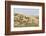 Dune Landscape, Detail, Germany, Lower Saxony, Ostfryingland-Roland T.-Framed Photographic Print