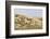 Dune Landscape, Detail, Germany, Lower Saxony, Ostfryingland-Roland T.-Framed Photographic Print