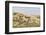 Dune Landscape, Detail, Germany, Lower Saxony, Ostfryingland-Roland T.-Framed Photographic Print